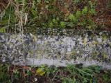 image of grave number 807794